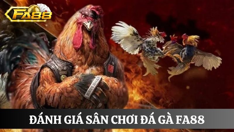 Đánh giá  đá gà FA88